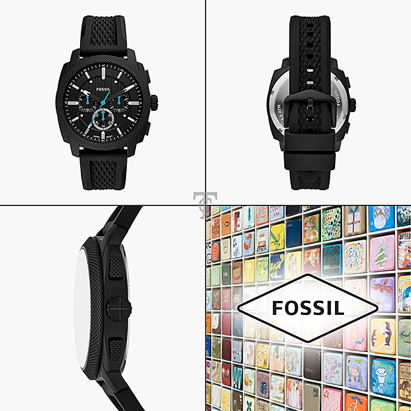 FOSSIL FS6099 portré kép