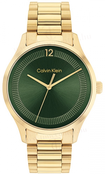 Calvin Klein CK25200229 karóra