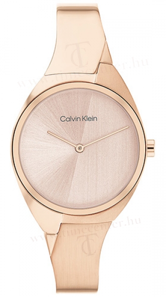 Calvin Klein CK25200236 karóra